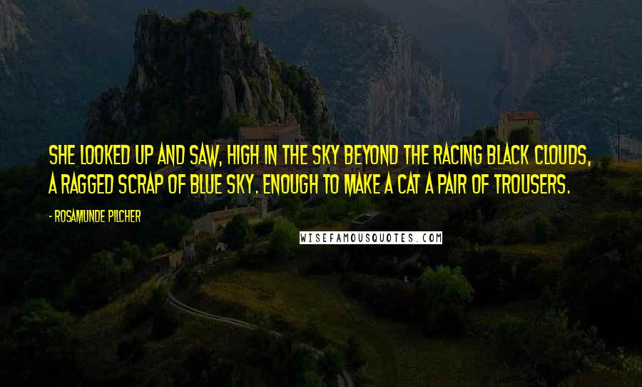 Rosamunde Pilcher Quotes: She looked up and saw, high in the sky beyond the racing black clouds, a ragged scrap of blue sky. Enough to make a cat a pair of trousers.