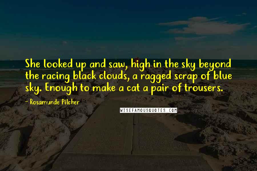 Rosamunde Pilcher Quotes: She looked up and saw, high in the sky beyond the racing black clouds, a ragged scrap of blue sky. Enough to make a cat a pair of trousers.