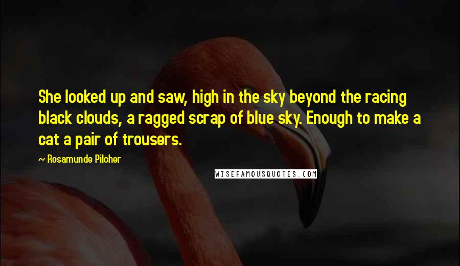 Rosamunde Pilcher Quotes: She looked up and saw, high in the sky beyond the racing black clouds, a ragged scrap of blue sky. Enough to make a cat a pair of trousers.