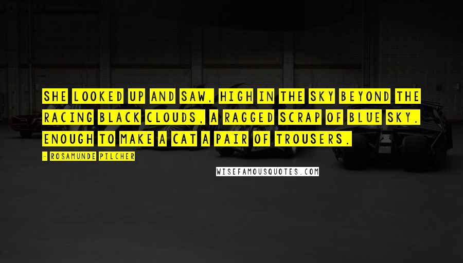 Rosamunde Pilcher Quotes: She looked up and saw, high in the sky beyond the racing black clouds, a ragged scrap of blue sky. Enough to make a cat a pair of trousers.