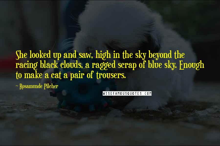 Rosamunde Pilcher Quotes: She looked up and saw, high in the sky beyond the racing black clouds, a ragged scrap of blue sky. Enough to make a cat a pair of trousers.