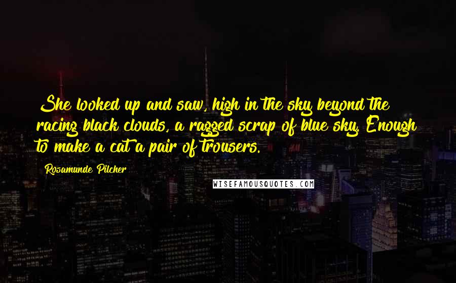 Rosamunde Pilcher Quotes: She looked up and saw, high in the sky beyond the racing black clouds, a ragged scrap of blue sky. Enough to make a cat a pair of trousers.