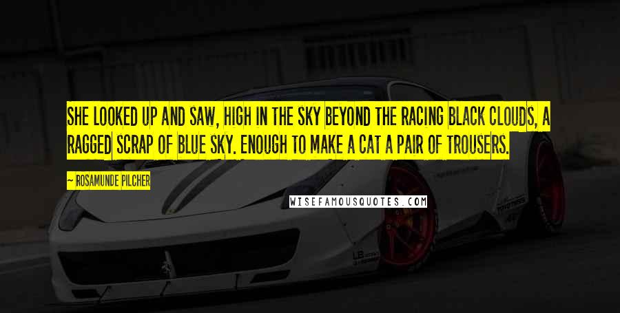 Rosamunde Pilcher Quotes: She looked up and saw, high in the sky beyond the racing black clouds, a ragged scrap of blue sky. Enough to make a cat a pair of trousers.