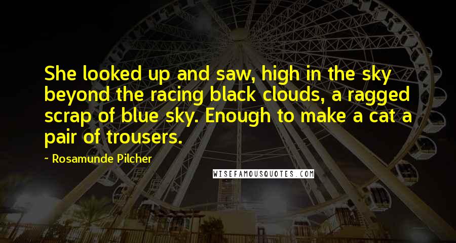 Rosamunde Pilcher Quotes: She looked up and saw, high in the sky beyond the racing black clouds, a ragged scrap of blue sky. Enough to make a cat a pair of trousers.