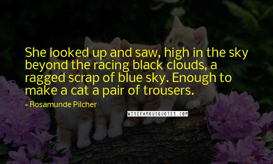 Rosamunde Pilcher Quotes: She looked up and saw, high in the sky beyond the racing black clouds, a ragged scrap of blue sky. Enough to make a cat a pair of trousers.