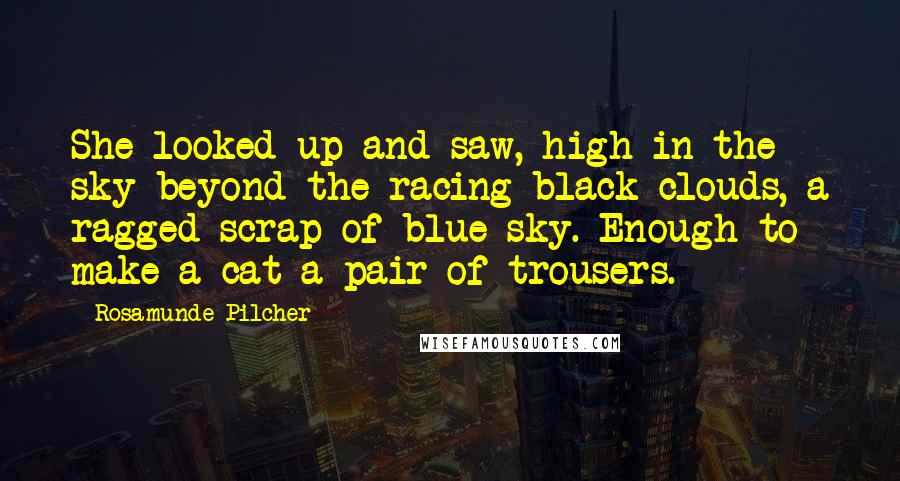 Rosamunde Pilcher Quotes: She looked up and saw, high in the sky beyond the racing black clouds, a ragged scrap of blue sky. Enough to make a cat a pair of trousers.