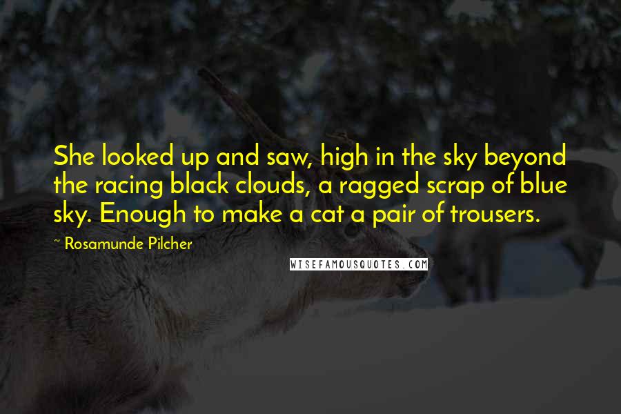 Rosamunde Pilcher Quotes: She looked up and saw, high in the sky beyond the racing black clouds, a ragged scrap of blue sky. Enough to make a cat a pair of trousers.