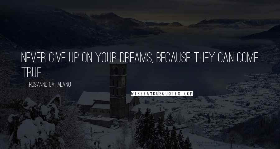 Rosanne Catalano Quotes: Never give up on your dreams, because they can come true!