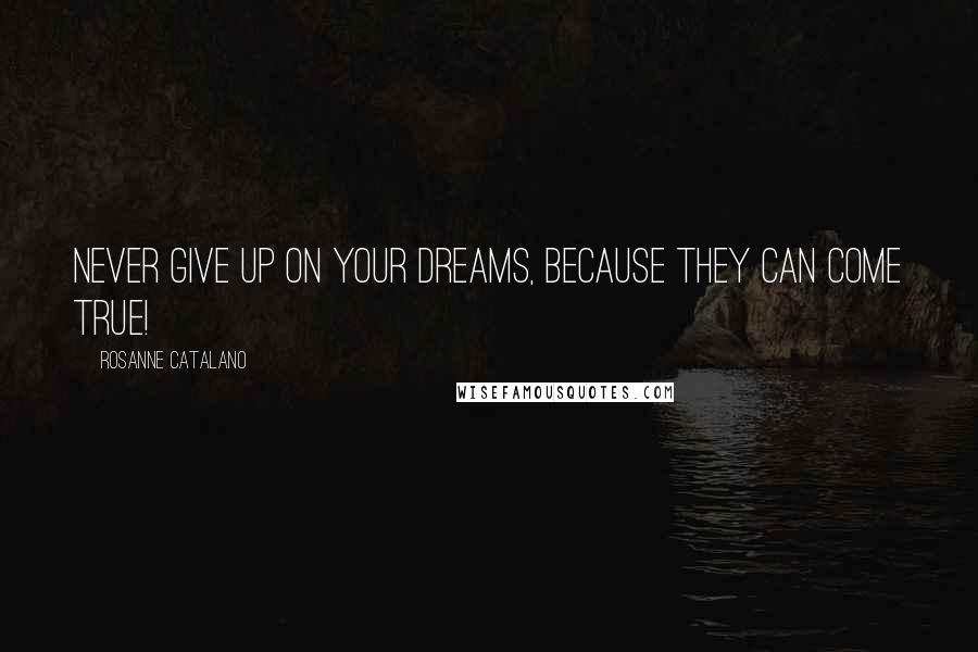 Rosanne Catalano Quotes: Never give up on your dreams, because they can come true!