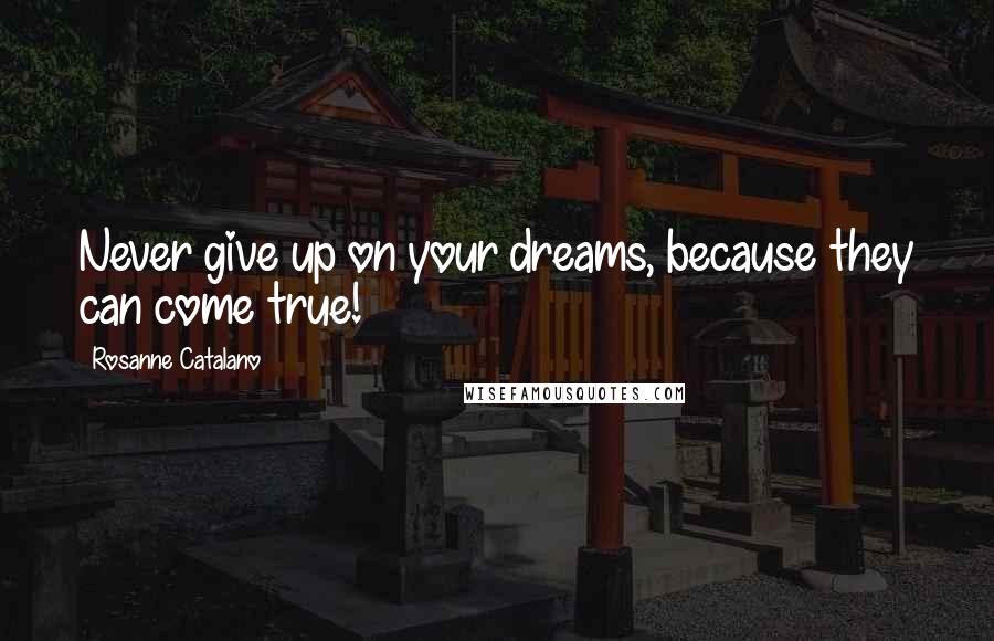 Rosanne Catalano Quotes: Never give up on your dreams, because they can come true!