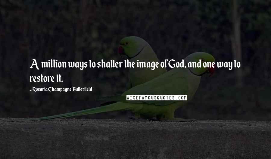 Rosaria Champagne Butterfield Quotes: A million ways to shatter the image of God, and one way to restore it.