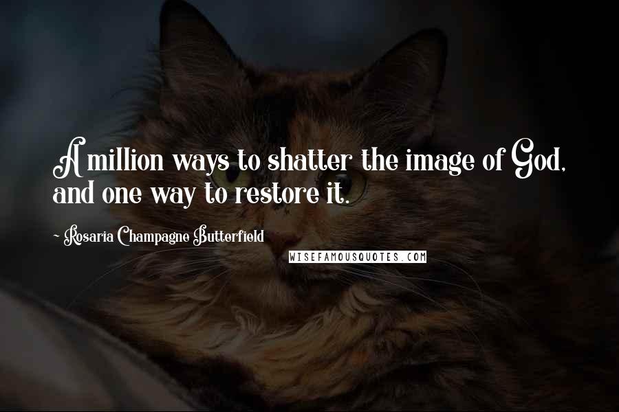 Rosaria Champagne Butterfield Quotes: A million ways to shatter the image of God, and one way to restore it.