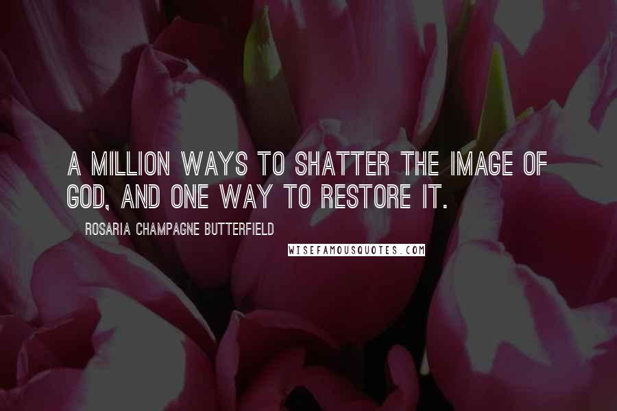 Rosaria Champagne Butterfield Quotes: A million ways to shatter the image of God, and one way to restore it.