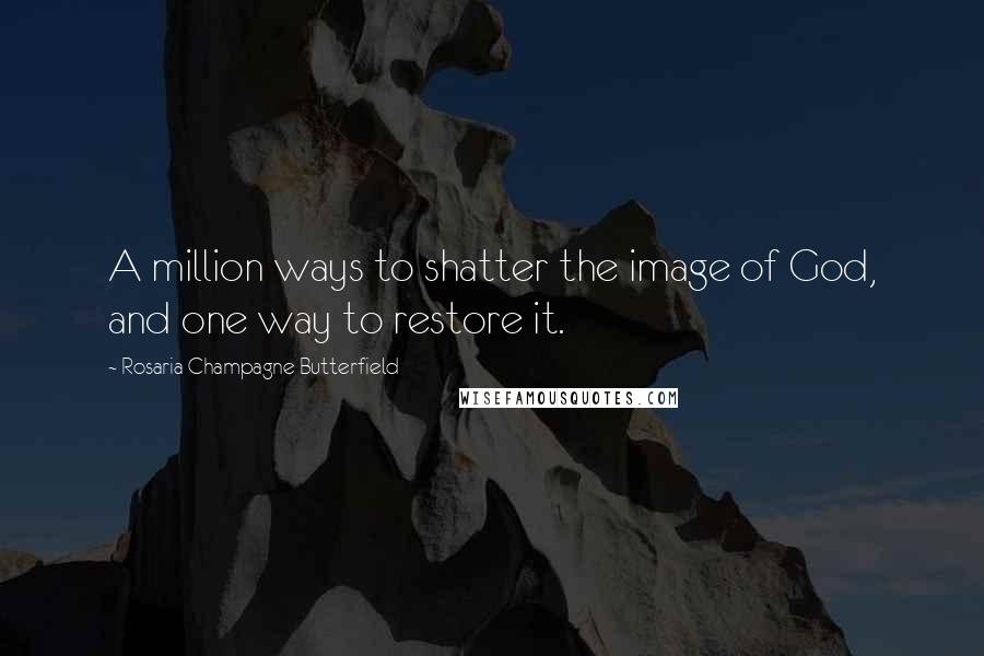 Rosaria Champagne Butterfield Quotes: A million ways to shatter the image of God, and one way to restore it.