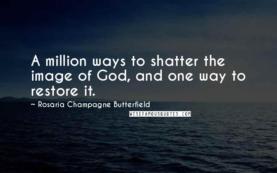 Rosaria Champagne Butterfield Quotes: A million ways to shatter the image of God, and one way to restore it.