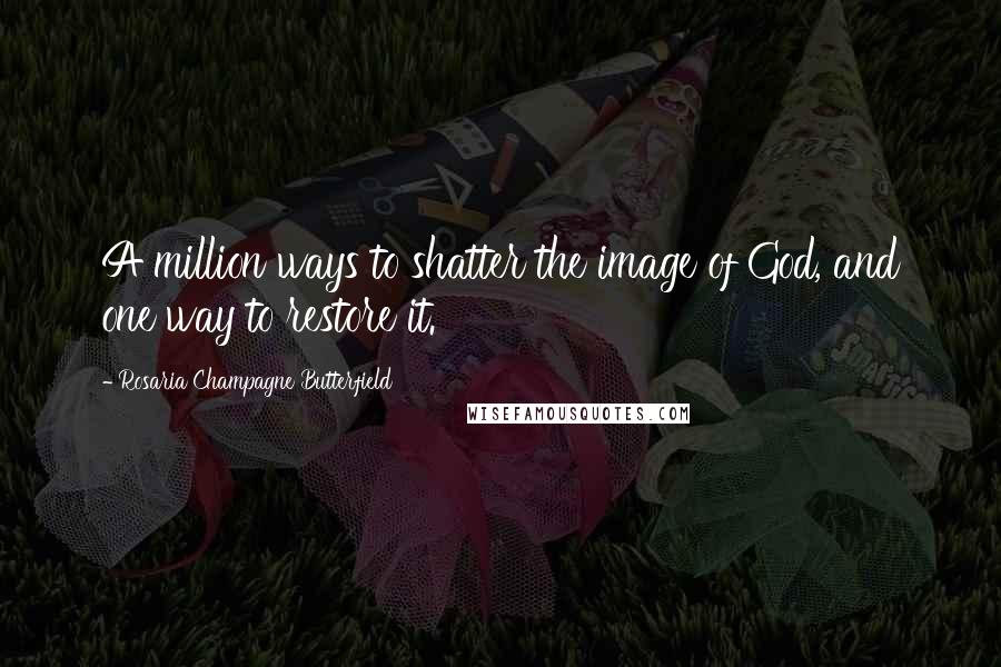 Rosaria Champagne Butterfield Quotes: A million ways to shatter the image of God, and one way to restore it.