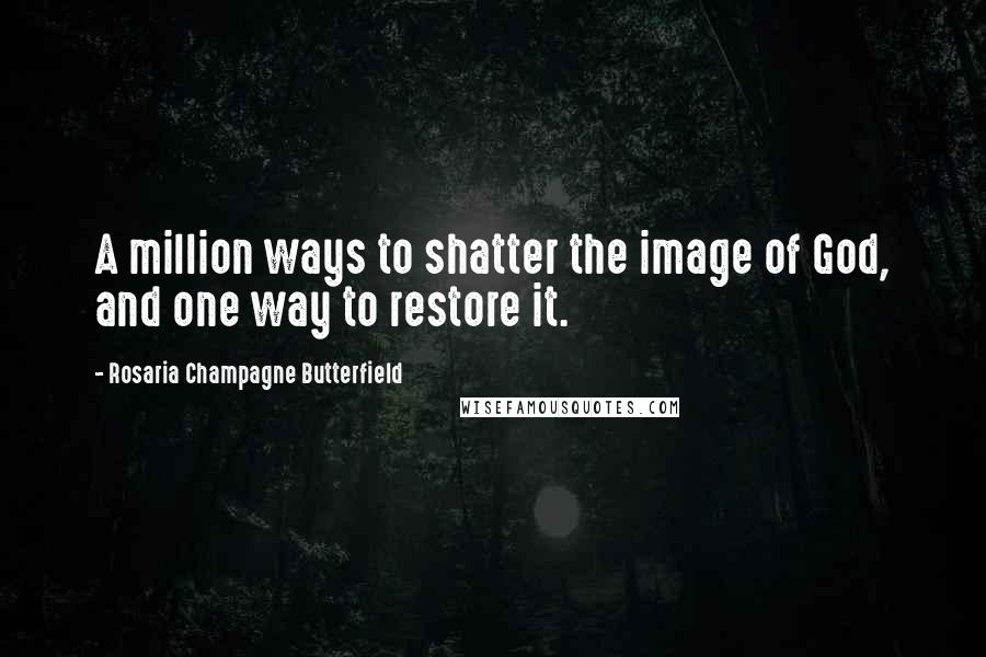 Rosaria Champagne Butterfield Quotes: A million ways to shatter the image of God, and one way to restore it.