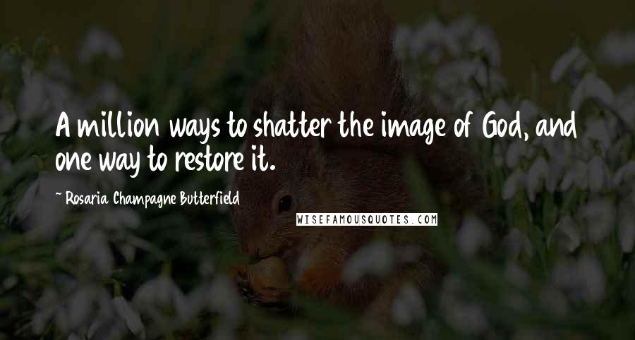 Rosaria Champagne Butterfield Quotes: A million ways to shatter the image of God, and one way to restore it.