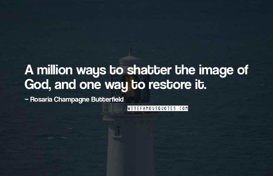 Rosaria Champagne Butterfield Quotes: A million ways to shatter the image of God, and one way to restore it.