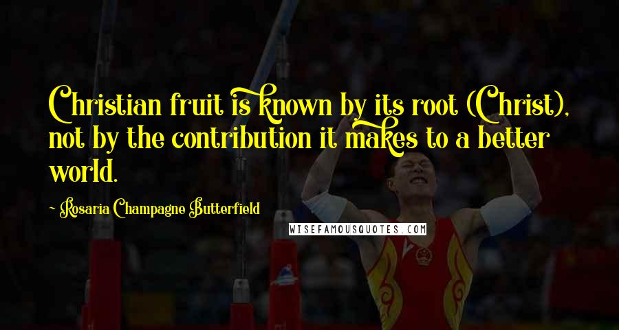 Rosaria Champagne Butterfield Quotes: Christian fruit is known by its root (Christ), not by the contribution it makes to a better world.