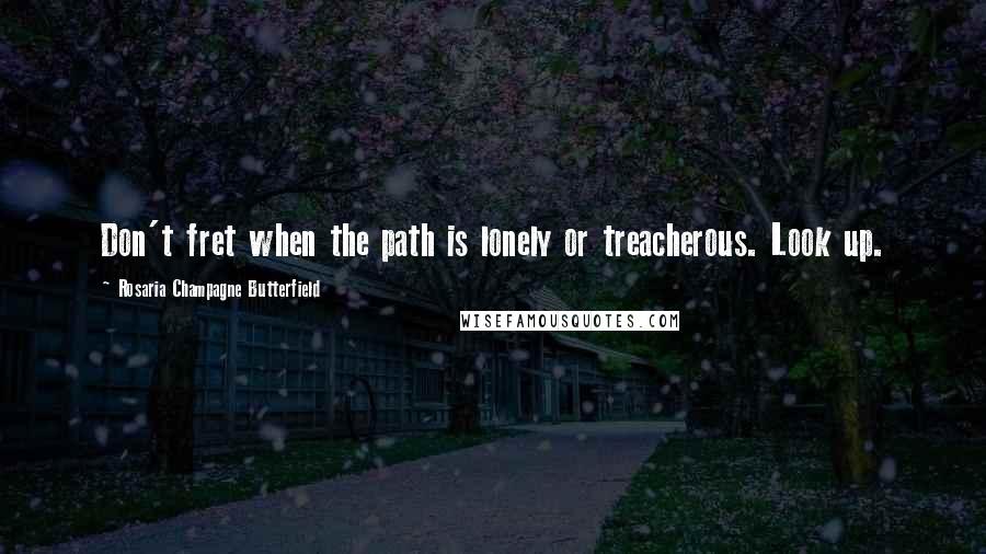 Rosaria Champagne Butterfield Quotes: Don't fret when the path is lonely or treacherous. Look up.