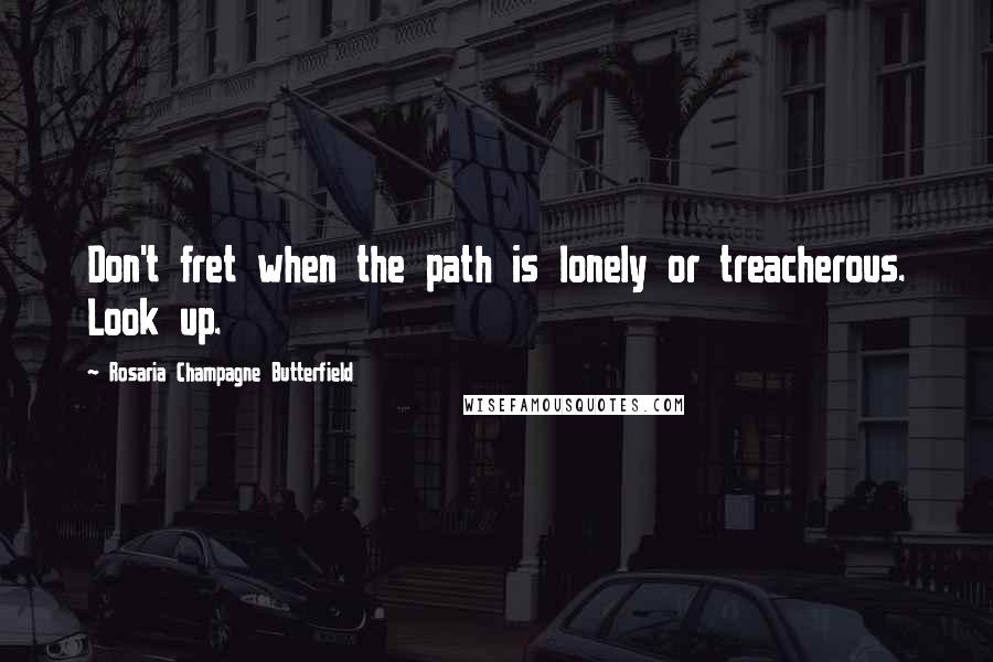 Rosaria Champagne Butterfield Quotes: Don't fret when the path is lonely or treacherous. Look up.