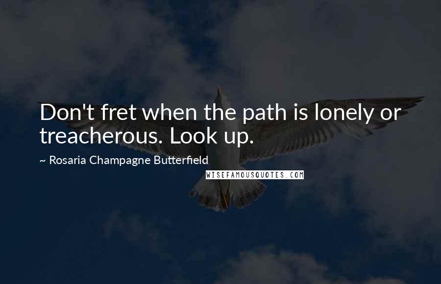 Rosaria Champagne Butterfield Quotes: Don't fret when the path is lonely or treacherous. Look up.