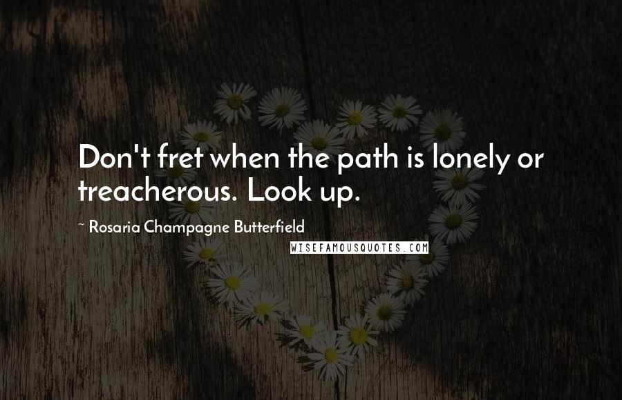 Rosaria Champagne Butterfield Quotes: Don't fret when the path is lonely or treacherous. Look up.