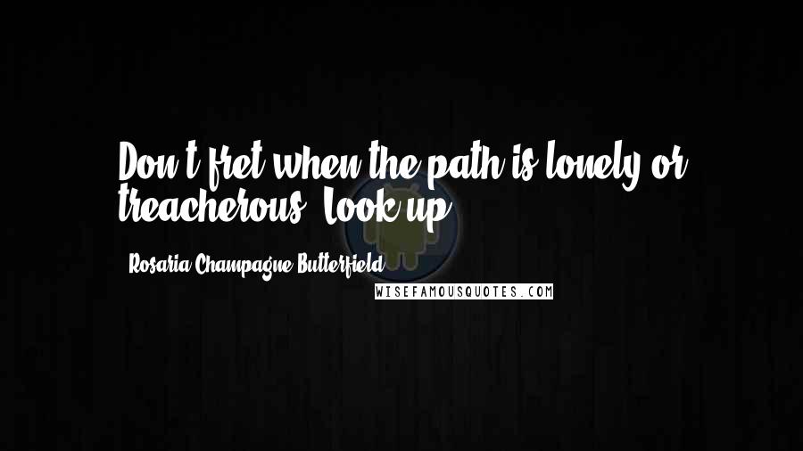 Rosaria Champagne Butterfield Quotes: Don't fret when the path is lonely or treacherous. Look up.