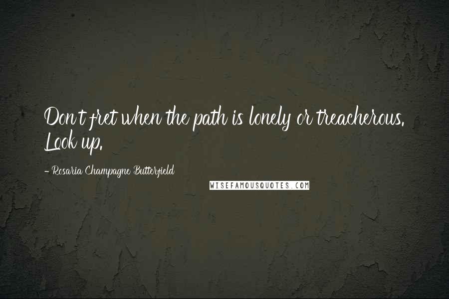 Rosaria Champagne Butterfield Quotes: Don't fret when the path is lonely or treacherous. Look up.