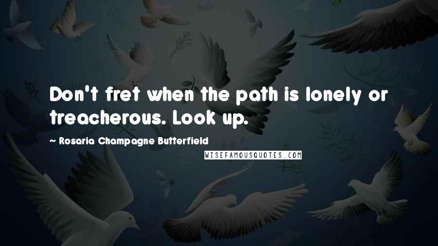 Rosaria Champagne Butterfield Quotes: Don't fret when the path is lonely or treacherous. Look up.