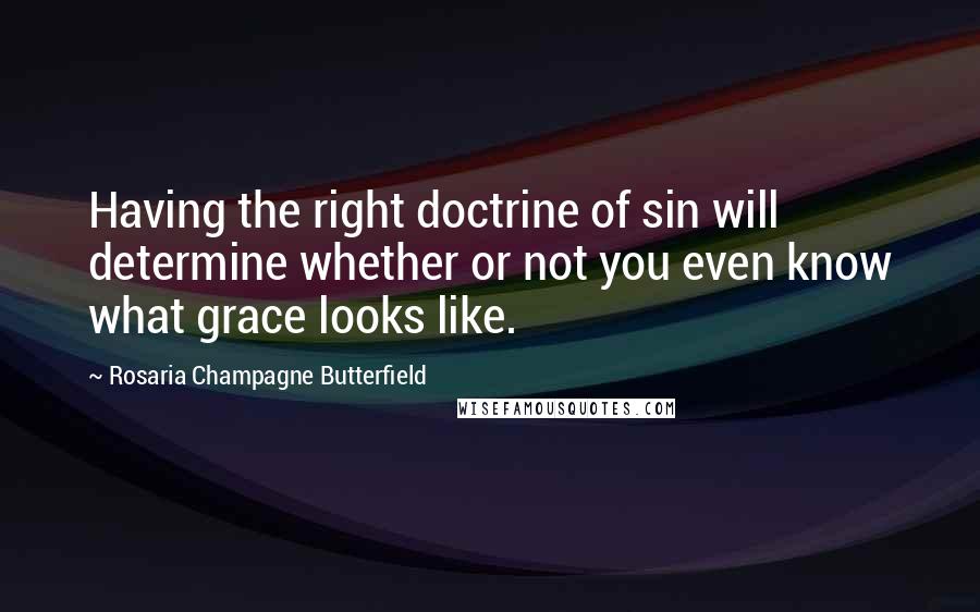 Rosaria Champagne Butterfield Quotes: Having the right doctrine of sin will determine whether or not you even know what grace looks like.