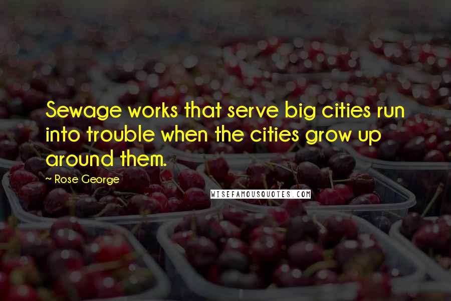 Rose George Quotes: Sewage works that serve big cities run into trouble when the cities grow up around them.