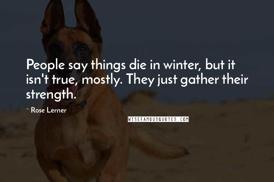 Rose Lerner Quotes: People say things die in winter, but it isn't true, mostly. They just gather their strength.