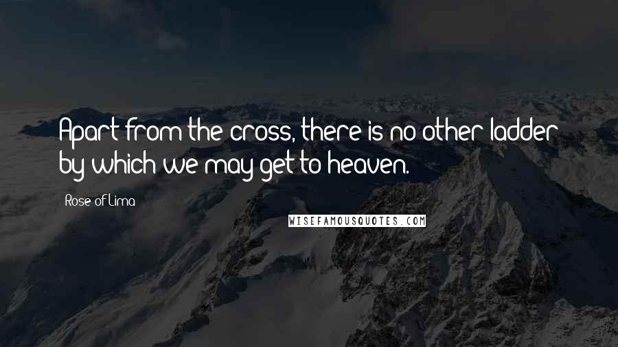 Rose Of Lima Quotes: Apart from the cross, there is no other ladder by which we may get to heaven.