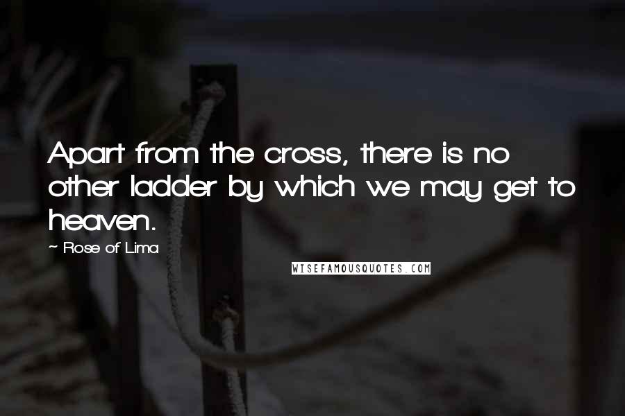 Rose Of Lima Quotes: Apart from the cross, there is no other ladder by which we may get to heaven.