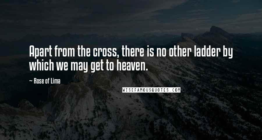 Rose Of Lima Quotes: Apart from the cross, there is no other ladder by which we may get to heaven.