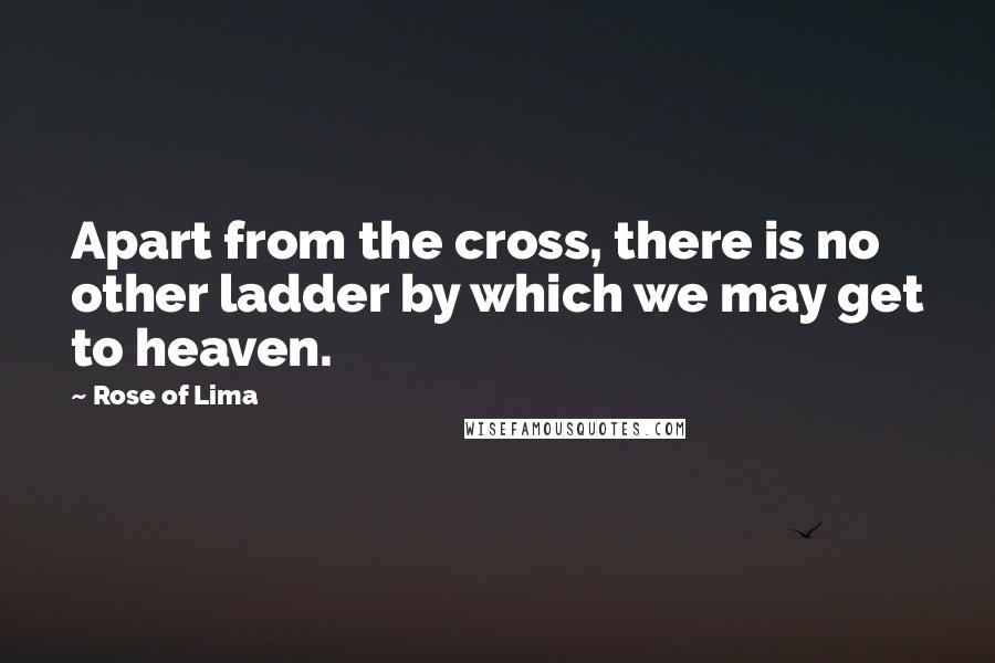 Rose Of Lima Quotes: Apart from the cross, there is no other ladder by which we may get to heaven.