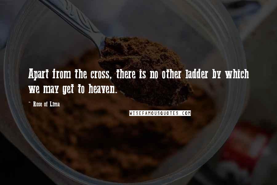 Rose Of Lima Quotes: Apart from the cross, there is no other ladder by which we may get to heaven.