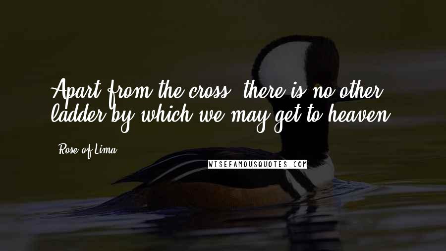 Rose Of Lima Quotes: Apart from the cross, there is no other ladder by which we may get to heaven.