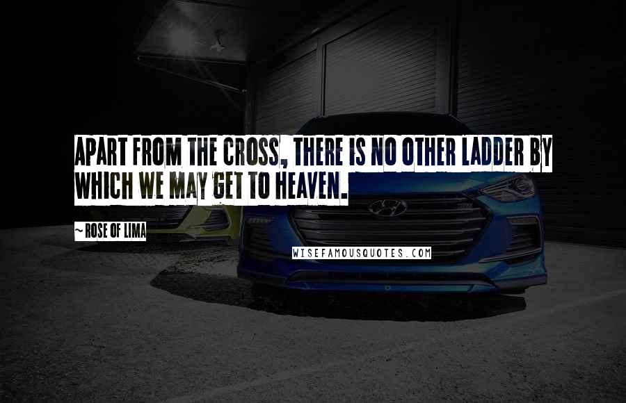 Rose Of Lima Quotes: Apart from the cross, there is no other ladder by which we may get to heaven.