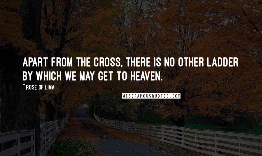 Rose Of Lima Quotes: Apart from the cross, there is no other ladder by which we may get to heaven.