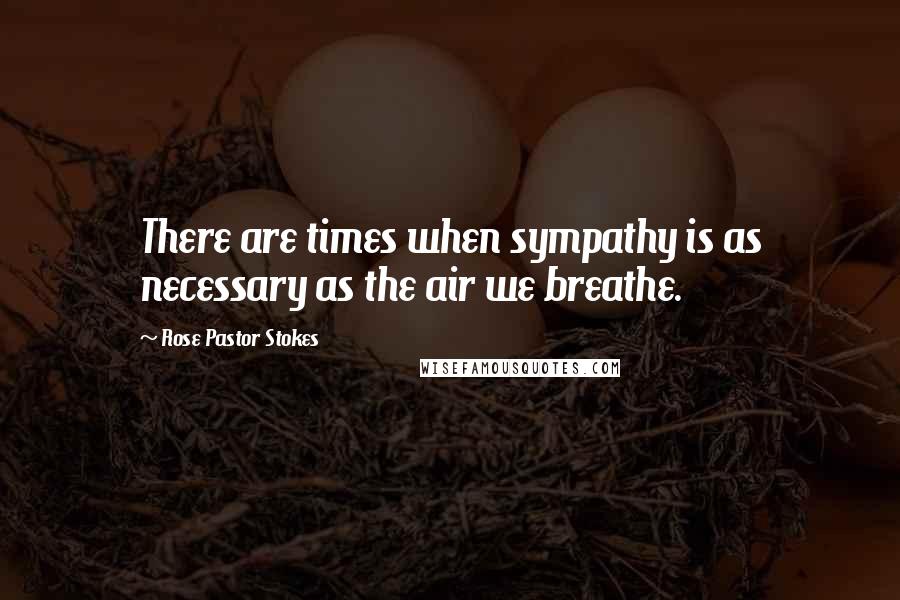 Rose Pastor Stokes Quotes: There are times when sympathy is as necessary as the air we breathe.