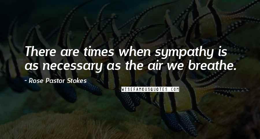 Rose Pastor Stokes Quotes: There are times when sympathy is as necessary as the air we breathe.