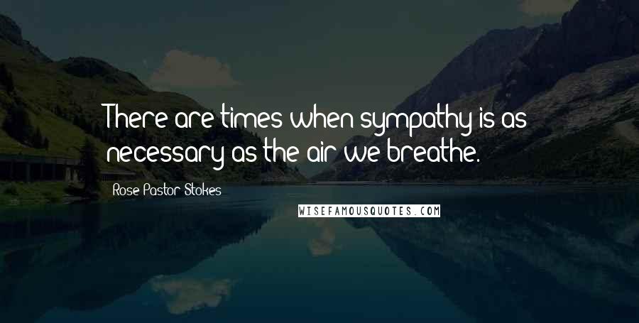 Rose Pastor Stokes Quotes: There are times when sympathy is as necessary as the air we breathe.