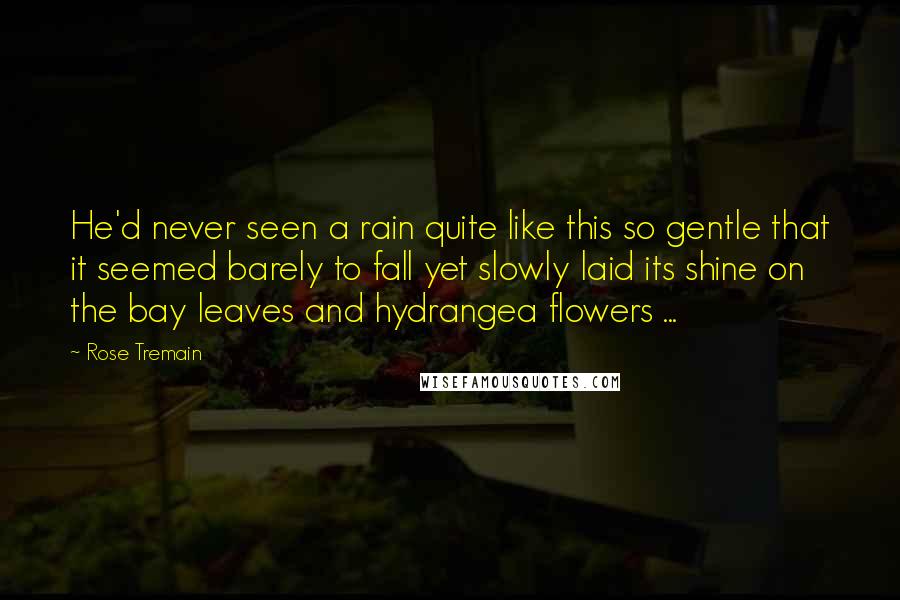 Rose Tremain Quotes: He'd never seen a rain quite like this so gentle that it seemed barely to fall yet slowly laid its shine on the bay leaves and hydrangea flowers ...