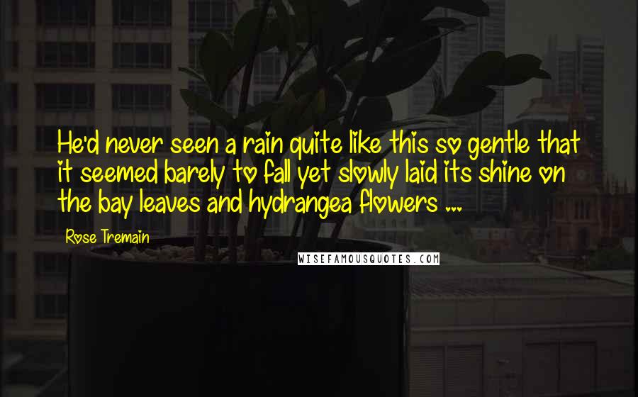 Rose Tremain Quotes: He'd never seen a rain quite like this so gentle that it seemed barely to fall yet slowly laid its shine on the bay leaves and hydrangea flowers ...