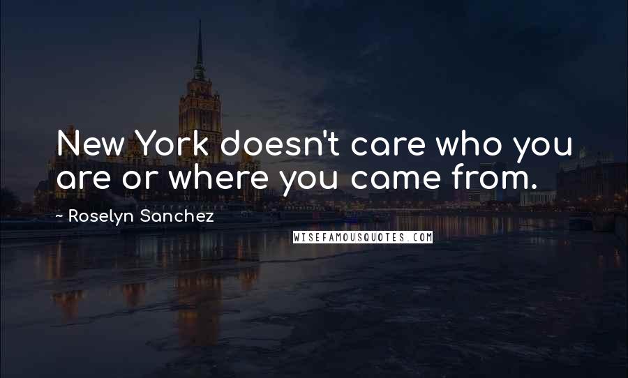 Roselyn Sanchez Quotes: New York doesn't care who you are or where you came from.