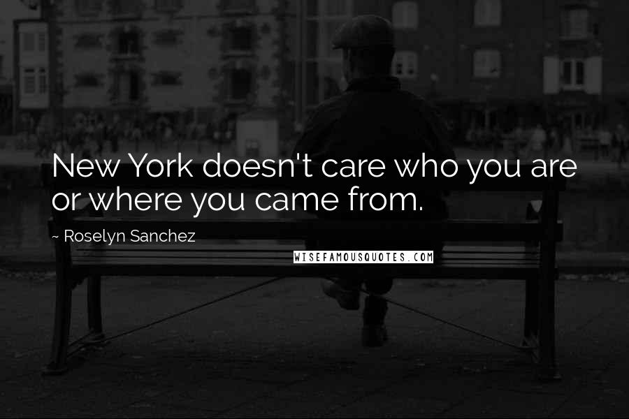 Roselyn Sanchez Quotes: New York doesn't care who you are or where you came from.