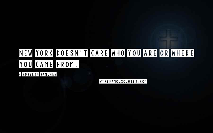 Roselyn Sanchez Quotes: New York doesn't care who you are or where you came from.